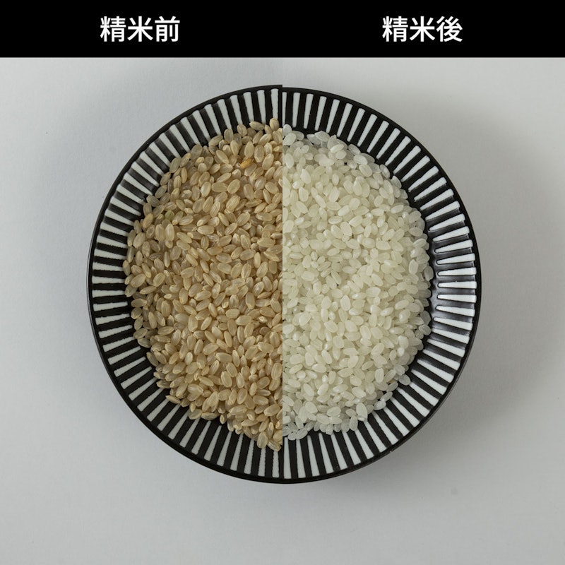 銘柄純白づき精米機 5