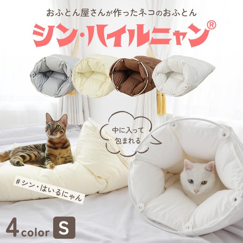 シン・ハイルニャン 1