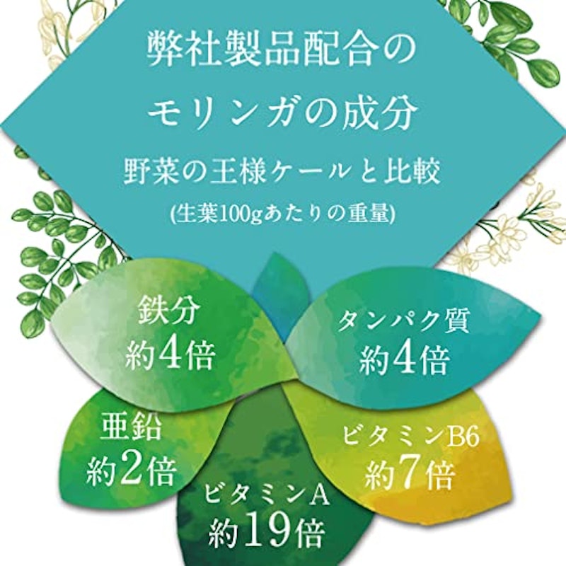 モリンガサプリメント 4