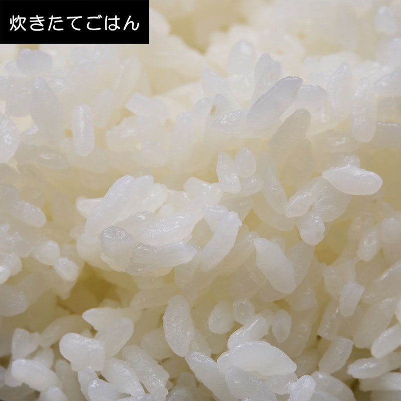 IHジャー炊飯器 9