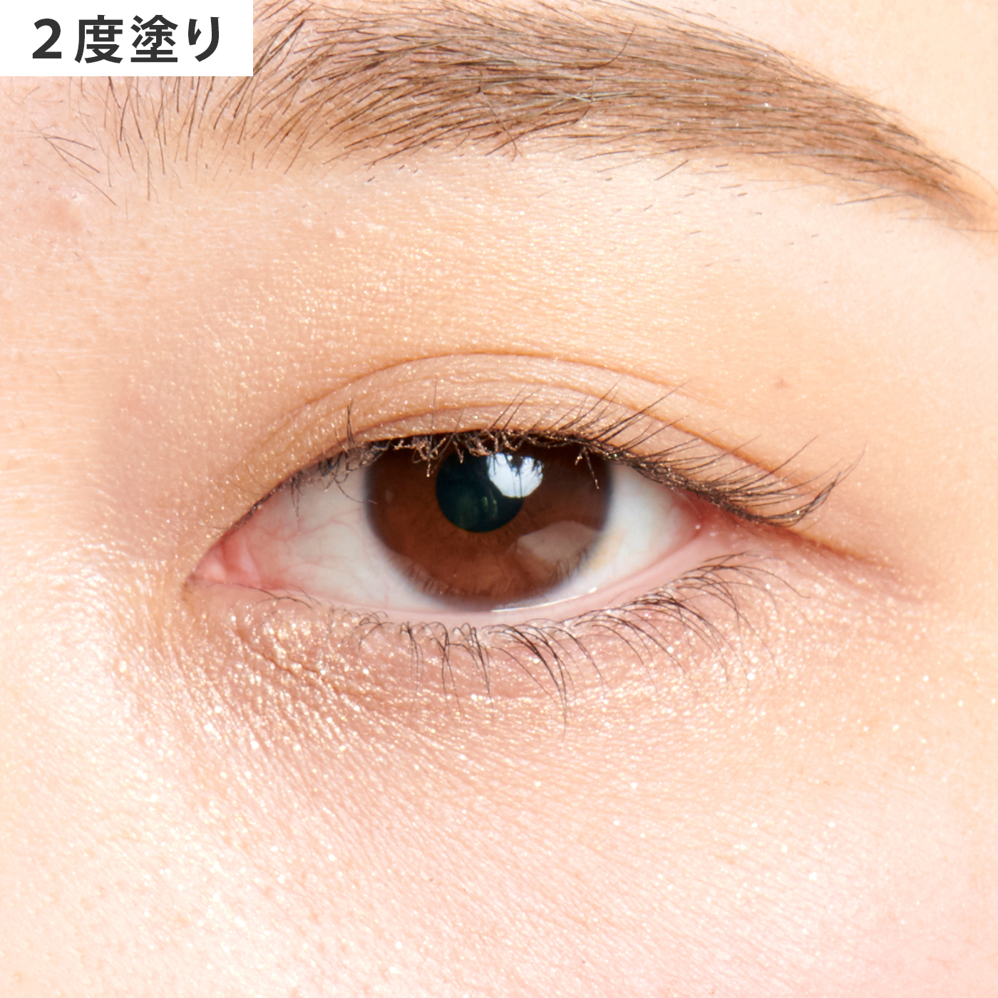 ルナソル スキン モデリング アイズ 01 Beige Beigeをレビュー