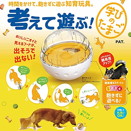 考えて遊ぶ！ 学びのたまご 5