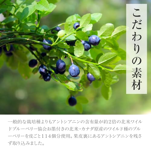 ミリオンのブルーベリー＆クランベリー 4