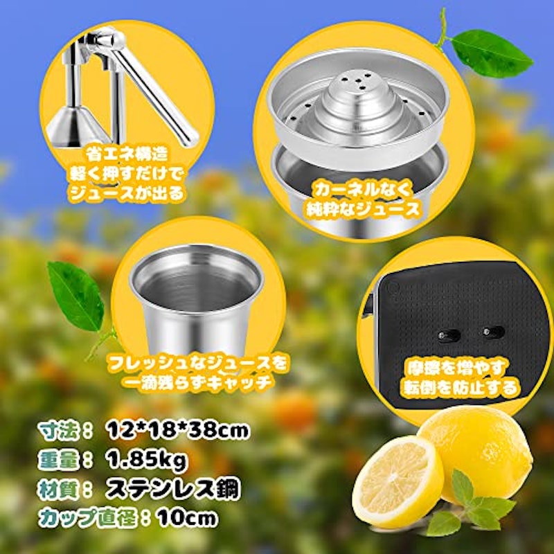 家庭用 ハンドジューサー 2