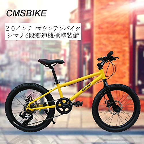 20インチ ジュニアマウンテンバイク 3