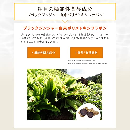 メタプラス ウエスト 5