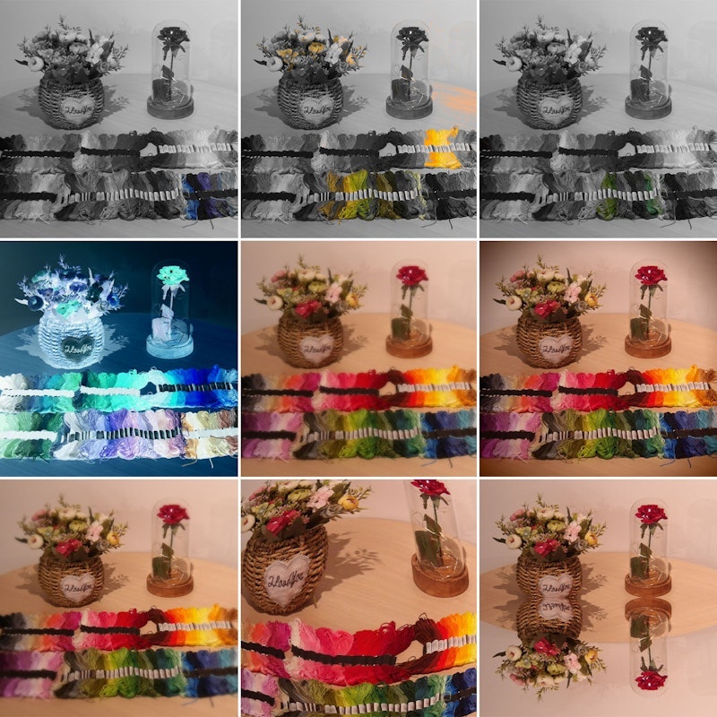 PIXPRO 10