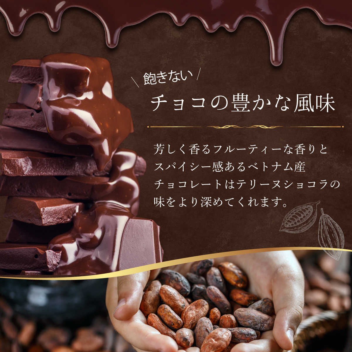 超濃厚テリーヌショコラ  4