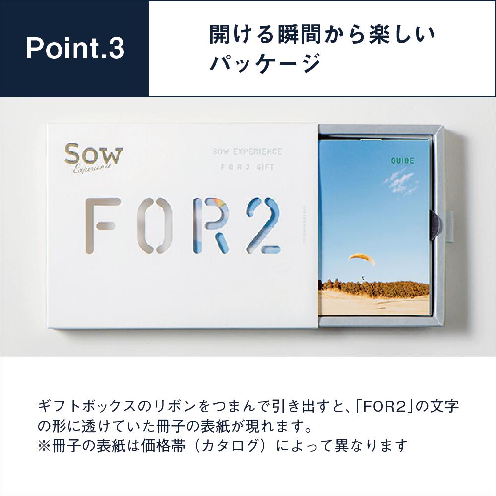 FOR2ギフト（GREEN） 5