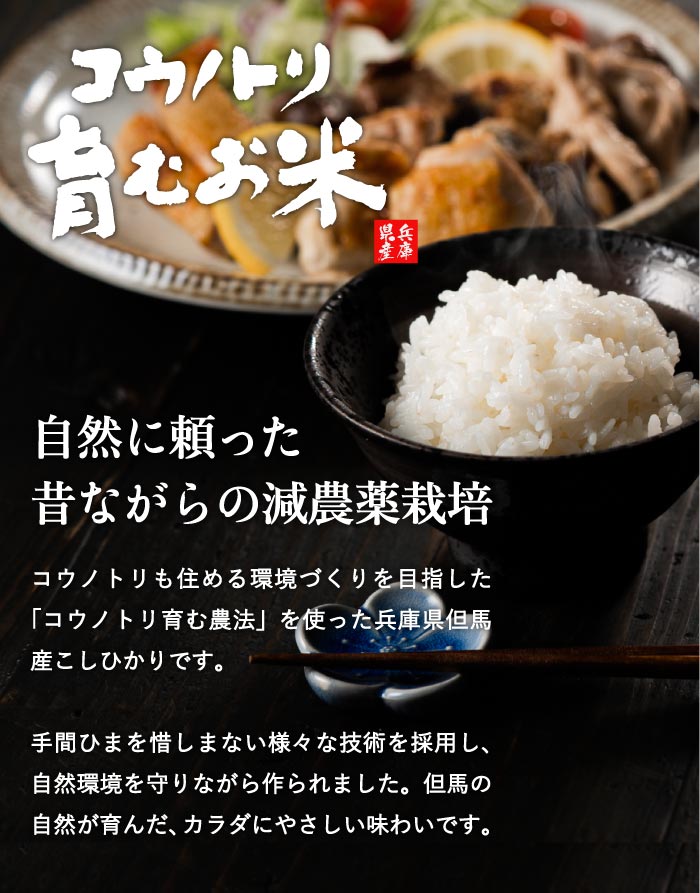パックご飯 コウノトリ育むお米 2