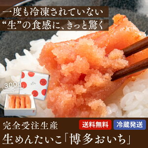 できたて生めんたいこ 博多おいち 2