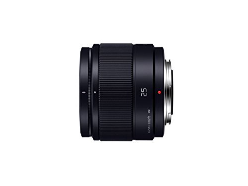 パナソニックのレンズのおすすめ人気ランキング【LUMIXも紹介 パナソニックのレンズのおすすめ人気ランキング【LUMIXも紹介