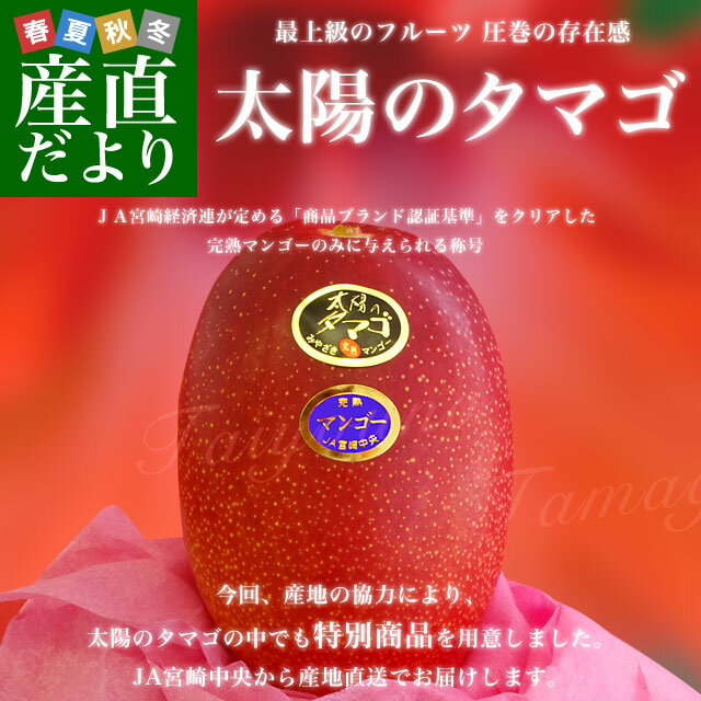 完熟マンゴー 太陽のタマゴ 2