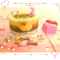 猫用ケーキ 2