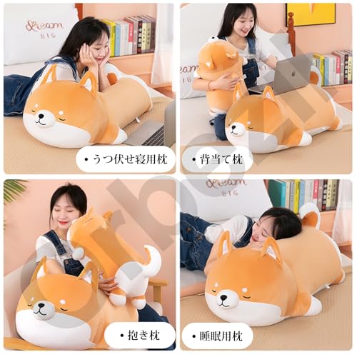 柴犬抱き枕 5