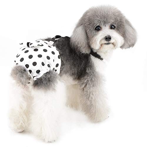 犬用オムツパンツ 2