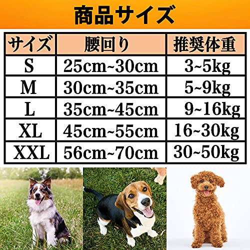 ペット用マナーパンツ 3