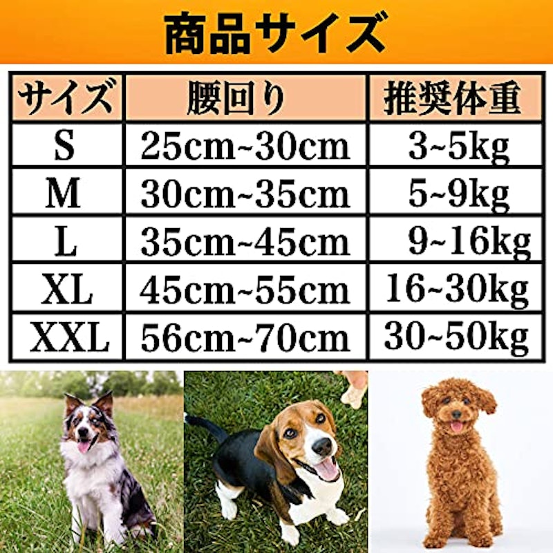 ペット用マナーパンツ 3