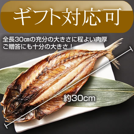 新島くさや 極上品 青むろ中セット 2