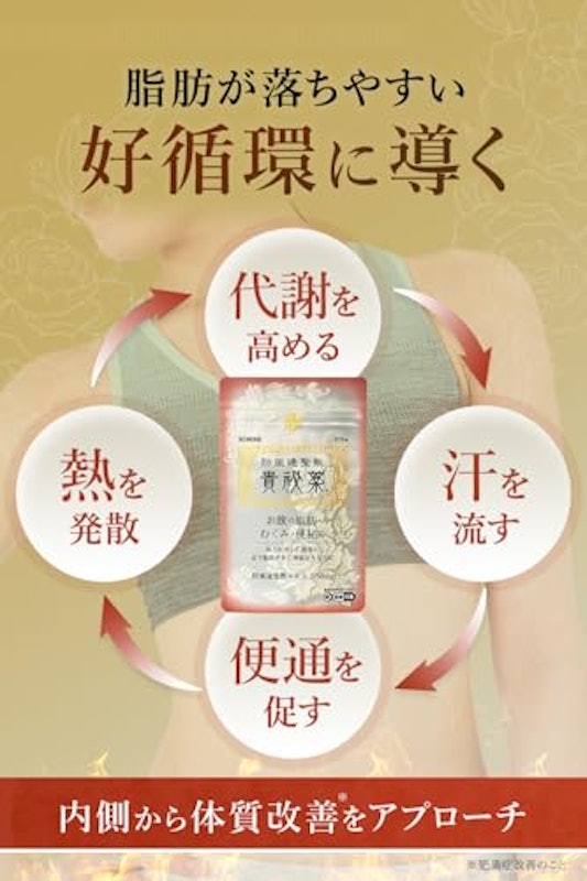 防風通聖散 貴秘薬 4