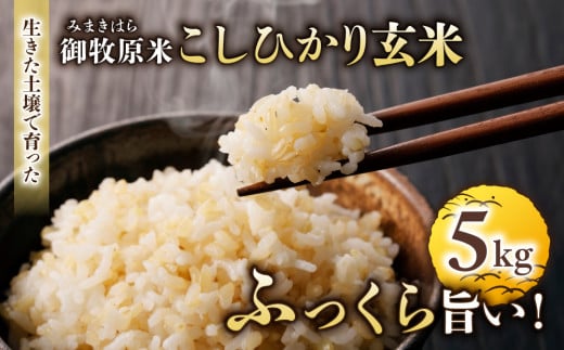 里山JAPAN 御牧原米こしひかり 玄米 1