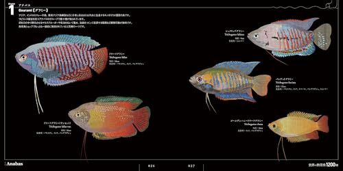 世界の熱帯魚1200種 ウロコ1枚から設計ソフトで緻密に構築 2