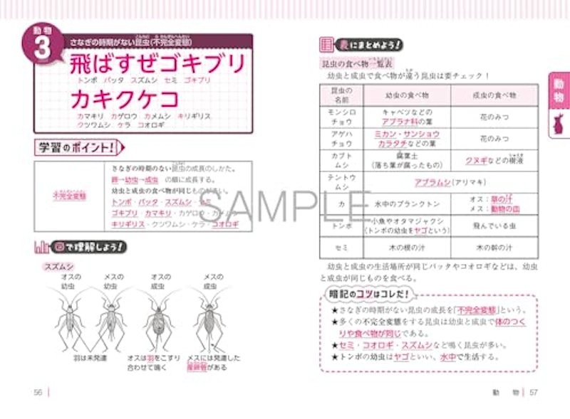 改訂第2版 中学受験 ゴロ合わせで覚える理科100 3