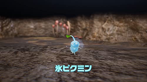 Pikmin 4 4
