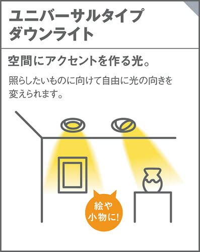ユニバーサルダウンライト 6