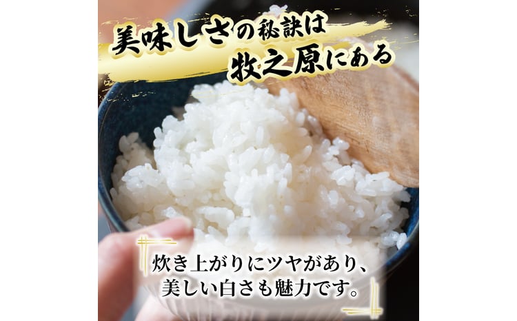 玄米 ひとめぼれ 3