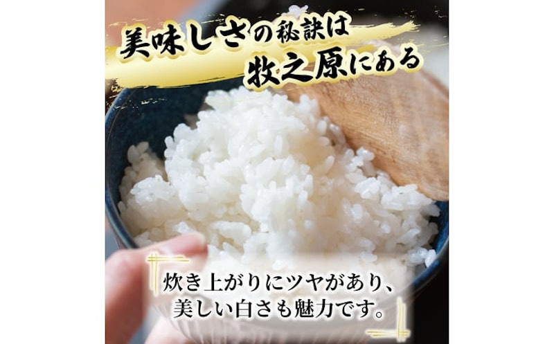 玄米 ひとめぼれ 3