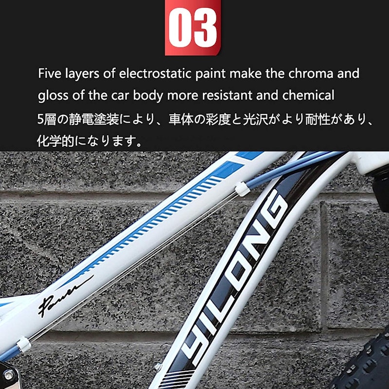 Espodファットタイヤマウンテンバイク 4