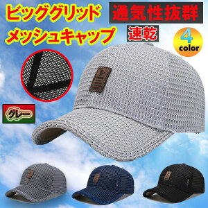 メッシュキャップ  2