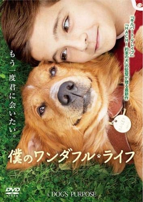 僕のワンダフル・ライフ 1