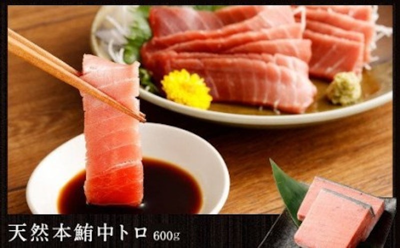 定期便3回 海からの贈り物 5