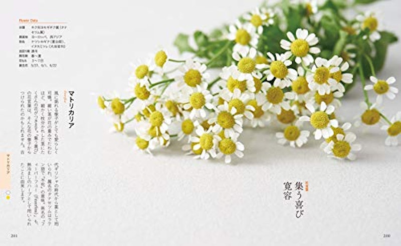ちいさな花言葉・花図鑑 5