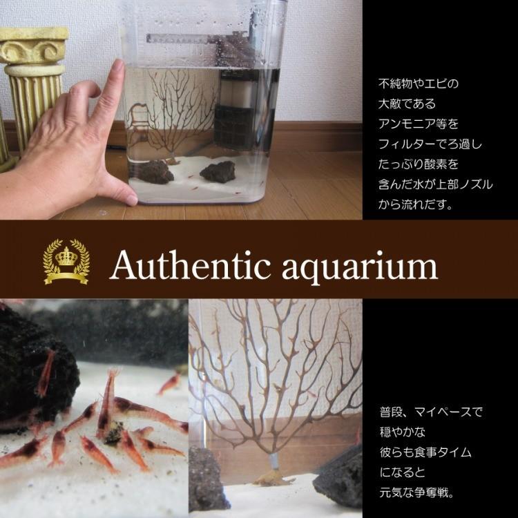 本格水槽セット全12点 2