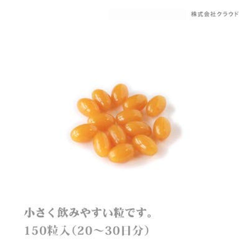 レシチン・γリノレン酸 2