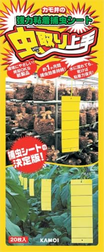 虫取り上手 1