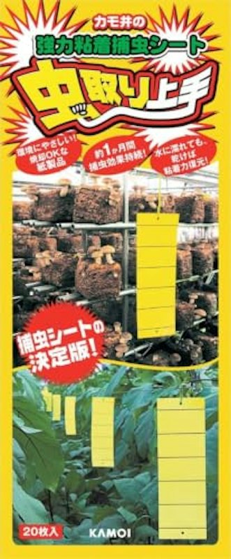 虫取り上手 1