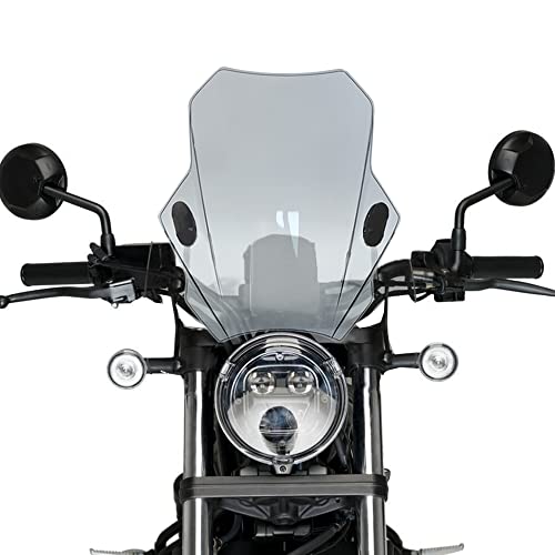 オートバイスクリーン 1