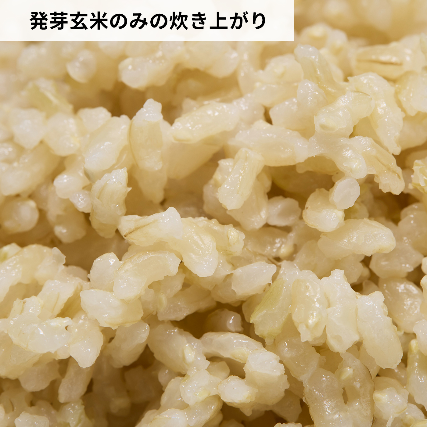 北海道産玄米使用 発芽玄米 6