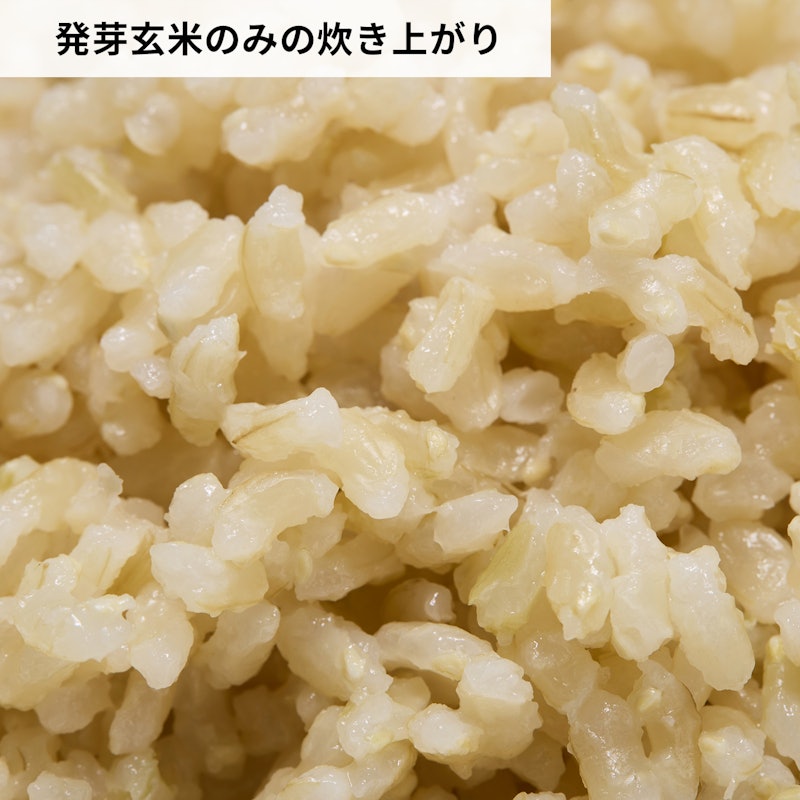 北海道産玄米使用 発芽玄米 6