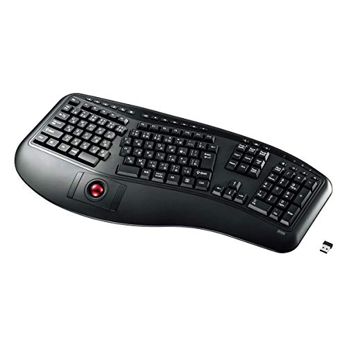 エルゴノミクスキーボード 1