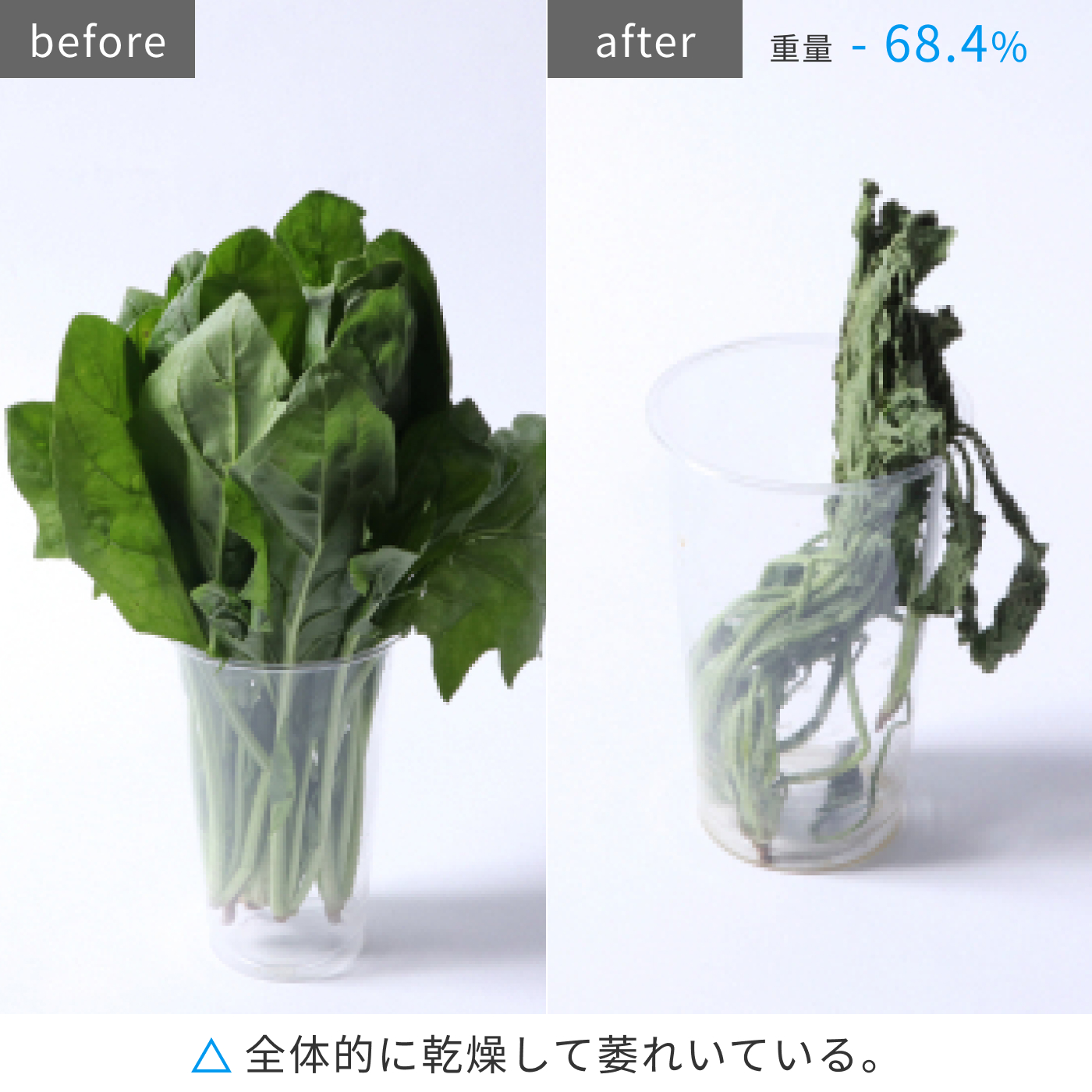 冷蔵庫 15