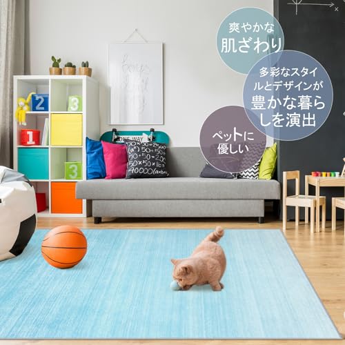 カーペット 2