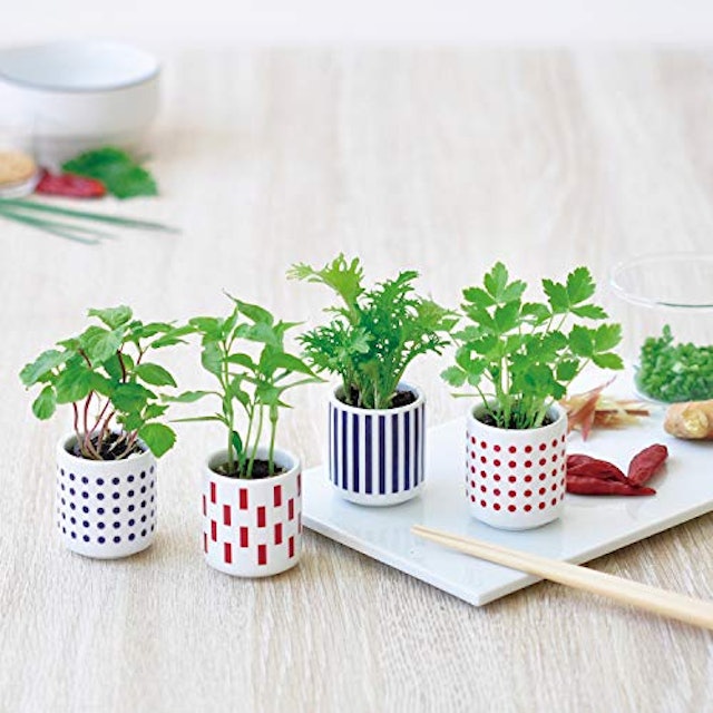 21年 ハーブ初心者向け栽培キットのおすすめ人気ランキング10選 Mybest 21年 ハーブ初心者向け栽培キットのおすすめ人気ランキング10選 Mybest