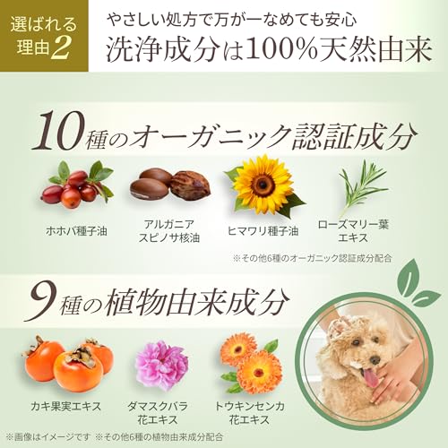 Organic Shampoo　速乾オーガニックシャンプー 5