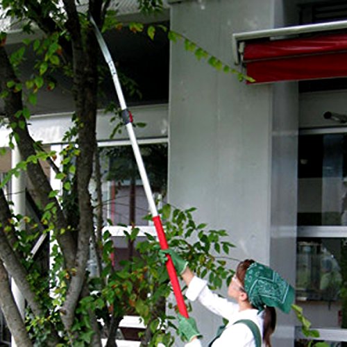 伸縮式高枝鋸 2