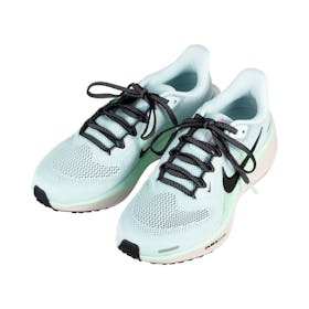 ナイキジャパン NIKE ペガサス 41 FD2723-406の口コミ・評判を元に検証してメリット・デメリットを徹底レビュー 1